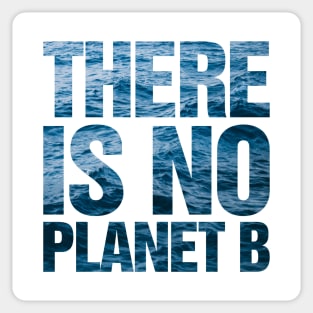 There Is No Planet B Ocean Sticker